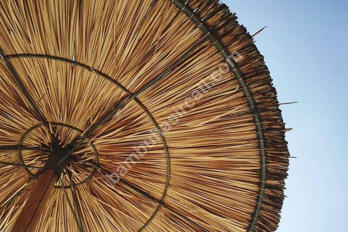 Bambu Şemsiye