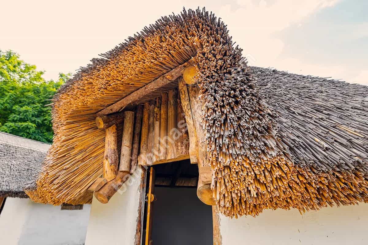 Saz Çatı