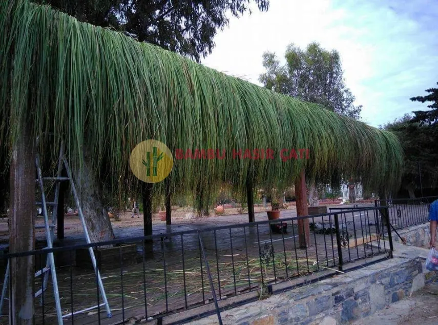 Doğal Doğal