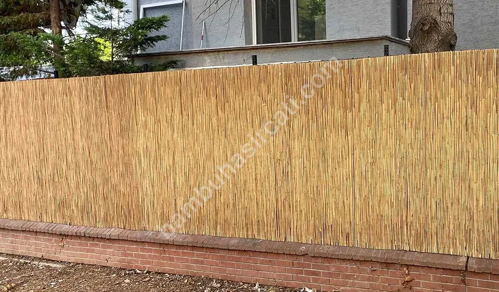 Bambu Bambu