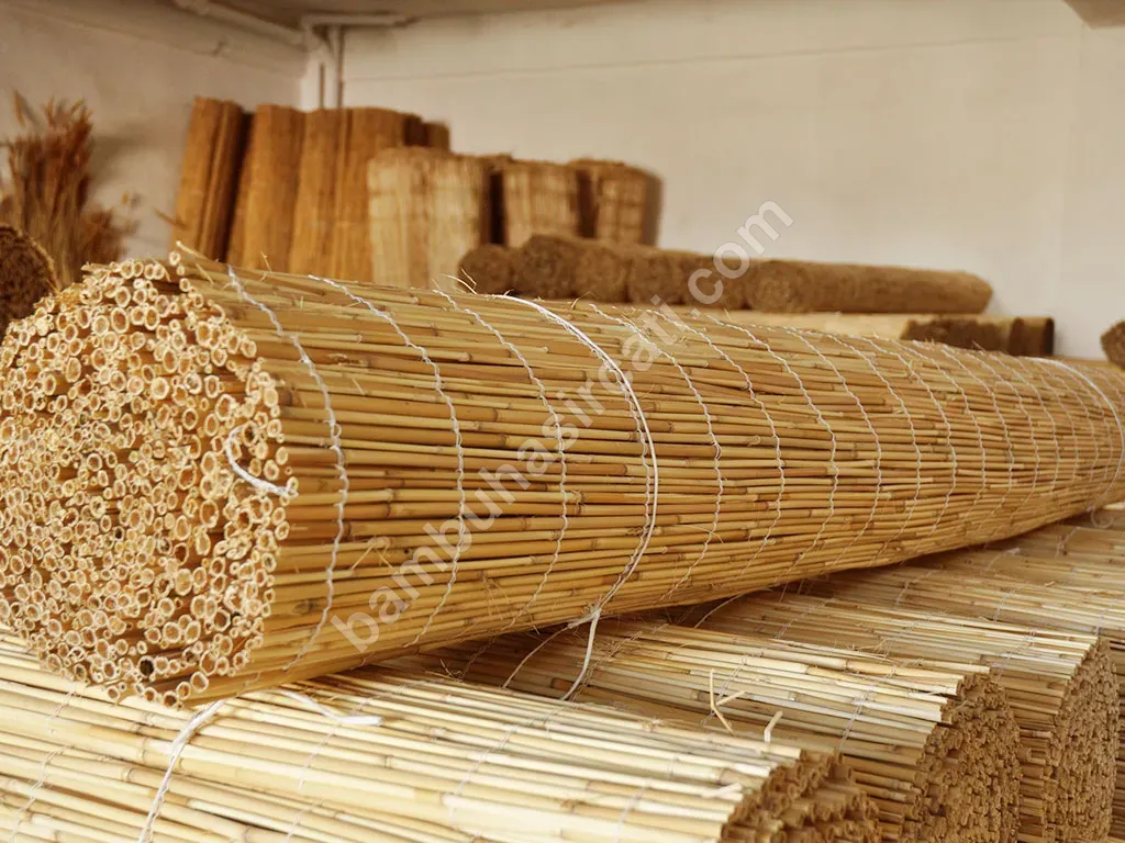 Bambu Bambu
