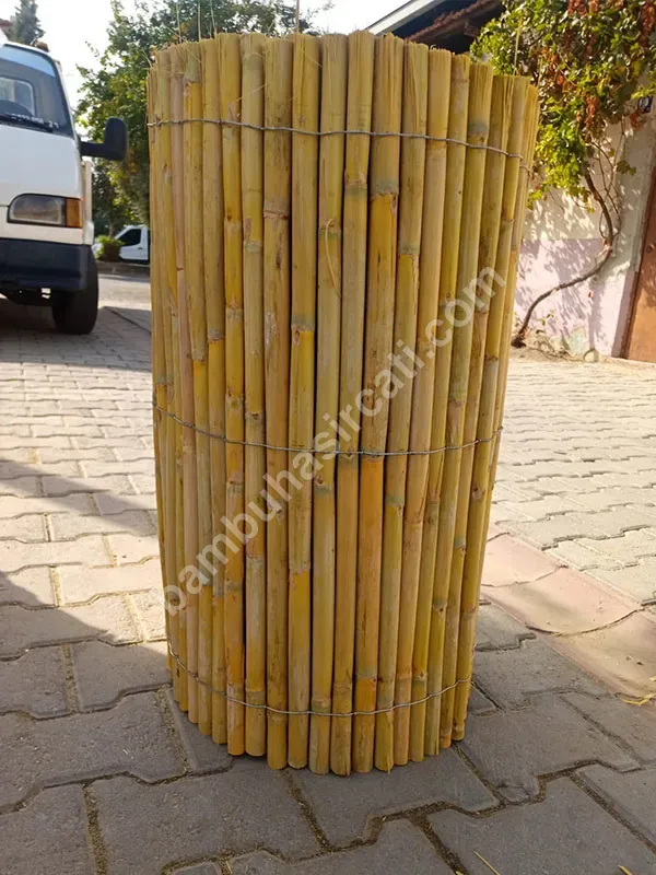 Bambu Bambu