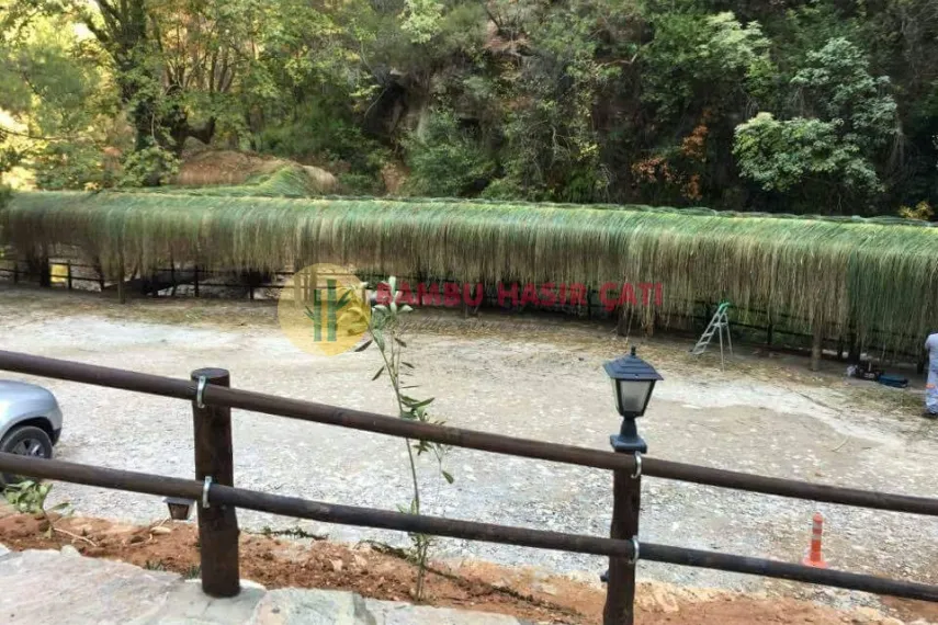 Doğal Doğal