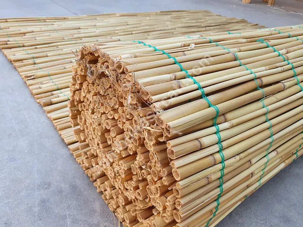 Bambu Bambu
