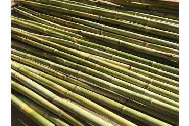 Bambu Çubukları 