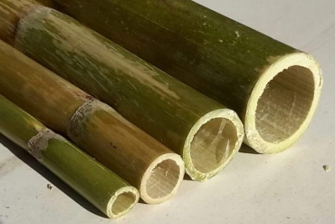 Bambu Ürünler