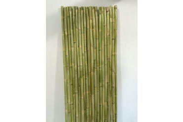 Bambu Ürünler